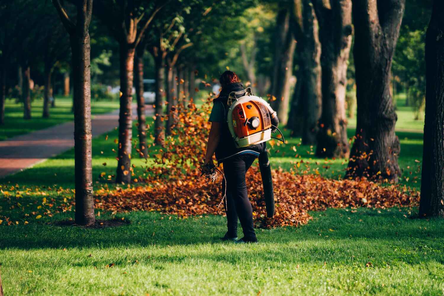 Best Residential Tree Removal  in Northville, MI